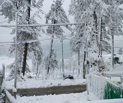 Pahalgam Heritage Resort - photo 2 - Hotels and Houseboats in Pahalgam