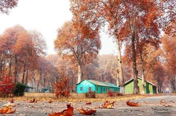Photo 10 of Akbar Group Of Heritage Houseboats