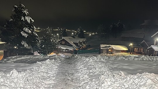 Photo 1 of Hotel Nedous Gulmarg