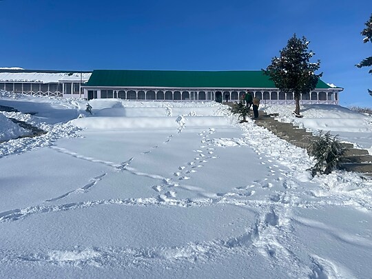 Photo 4 of Hotel Nedous Gulmarg