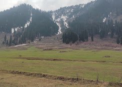 Joy Tour And Travels - photo 6 - Travel Agents and Tour Operators in Srinagar