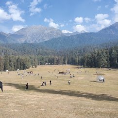 Aala Tours & Travels - photo 6 - Travel Agents and Tour Operators in Srinagar