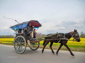 JK Cab Service - photo 3 - Taxi and Cab Services in Srinagar