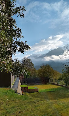Photo 3 of The Chinar Resort & Spa