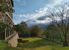 Photo 6 of The Chinar Resort & Spa
