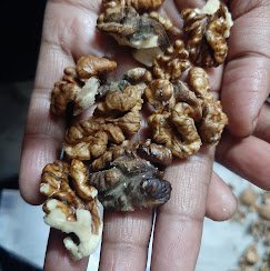 Mughal Dry Fruits Store - photo 2 - Dry Fruits and Saffron Stores in Srinagar