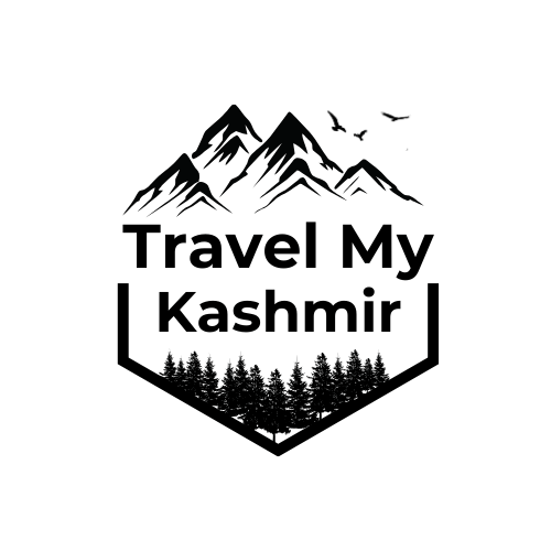 Kashmir Cab Service by Travel My Kashmir Logo