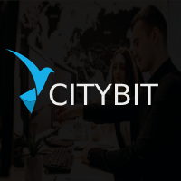 Top Travel Destinations in India By Citybit Travel Logo